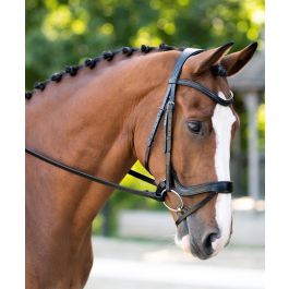 KL Select Black Oak Palm Ergonomic Dressage Bridle With Flash Crank & Reins