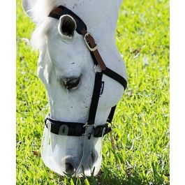 Thin line grazing muzzle new arrivals