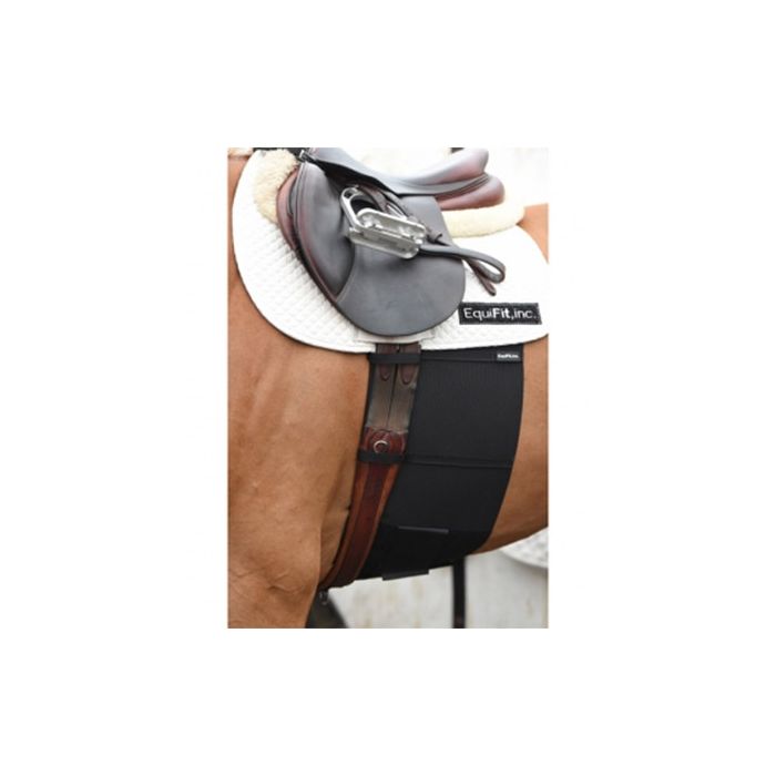 EquiFit BellyBand