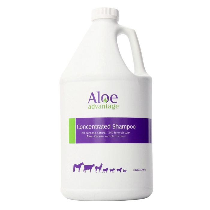 Aloe Advantage Concentrated Shampoo (1 Gallon)