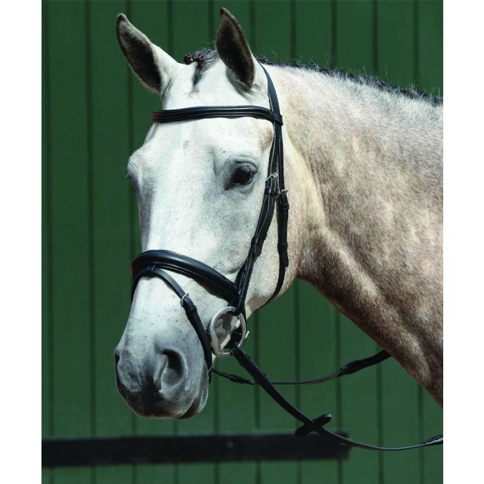 Weatherbeeta Collegiate Padded Raised Dressage Flash Bridle With Rubber Reins