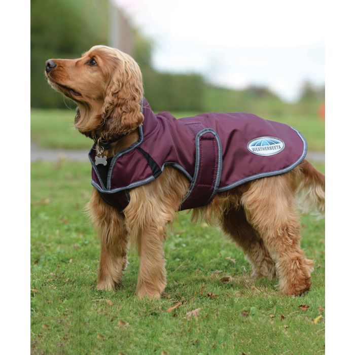 Weatherbeeta dog coats online hotsell