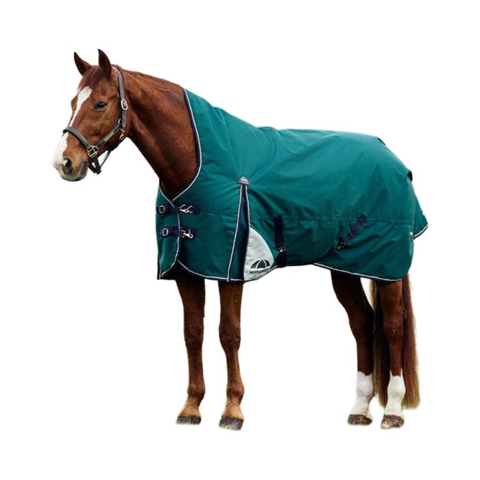 Weatherbeeta ComFiTec Plus Dynamic Turnout High Blanket (220g Medium)