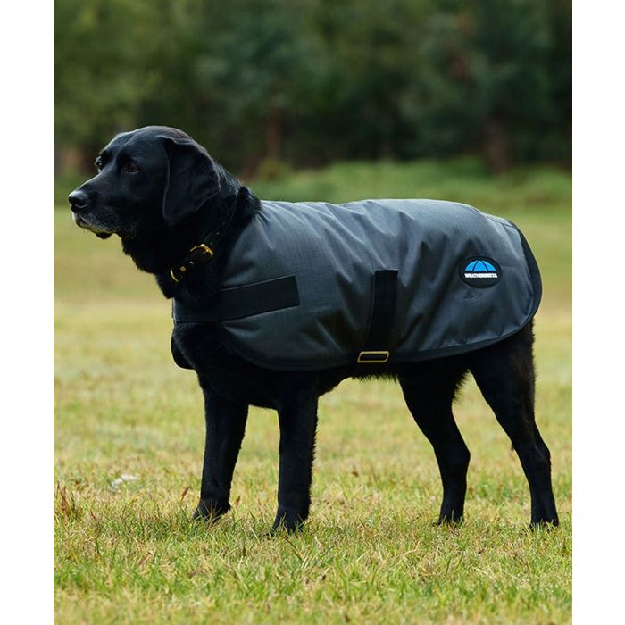 Weatherbeeta ComFiTec Classic Waterproof Dog Coat