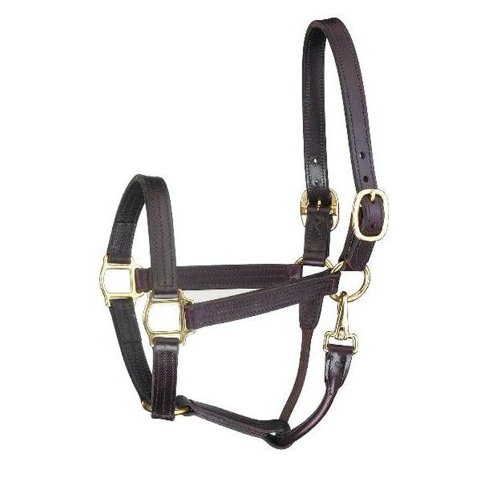 Perri's Triple Stitched Halter With Snap