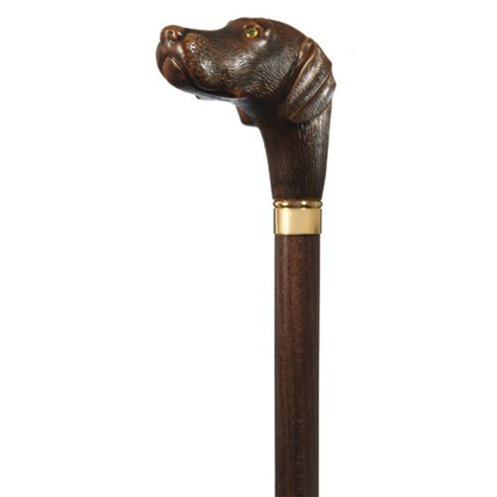 Harvy Canes Brownie, Our Chocolate Lab Walking Stick