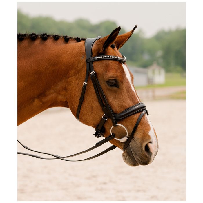 KL Select Impulsion Padded Bridle With Crystal Browband Without Reins