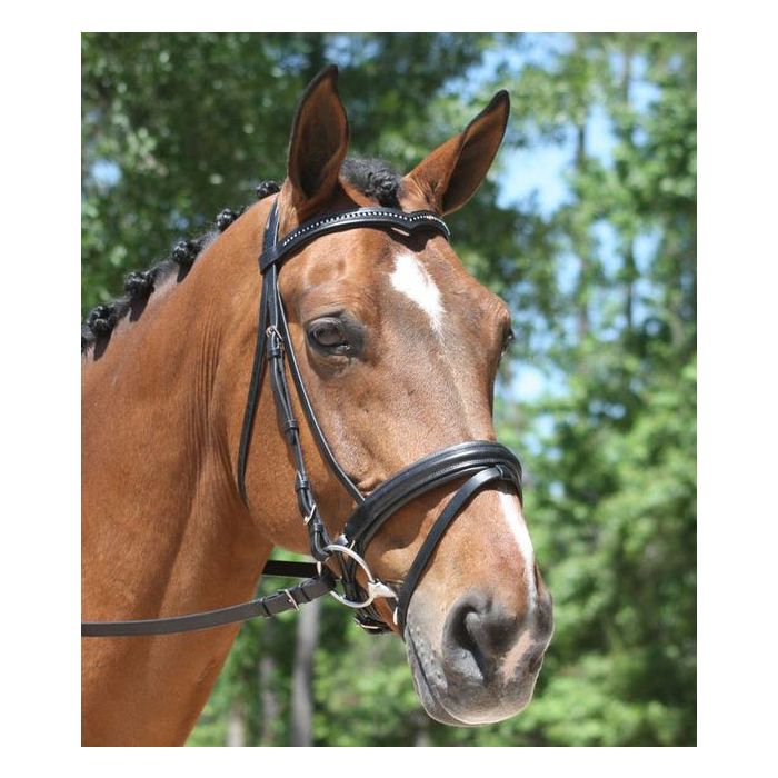 KL Italia Pirouette Padded Dressage Bridle w/ Flash Crank