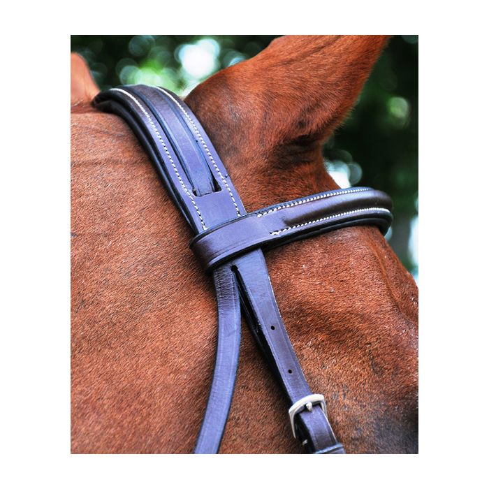 Black Oak Aster Padded Hunter Bridle w/ Threaded Headstall