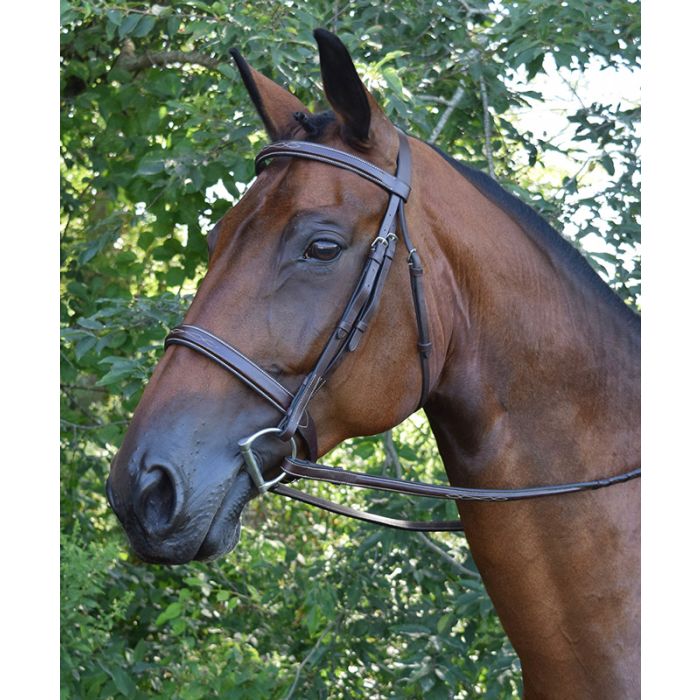 Black Oak Fancy Square Raised Spruce Bridle