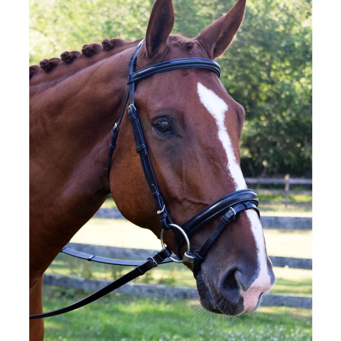 Black Oak Juniper Dressage Bridle with Flash Caveson