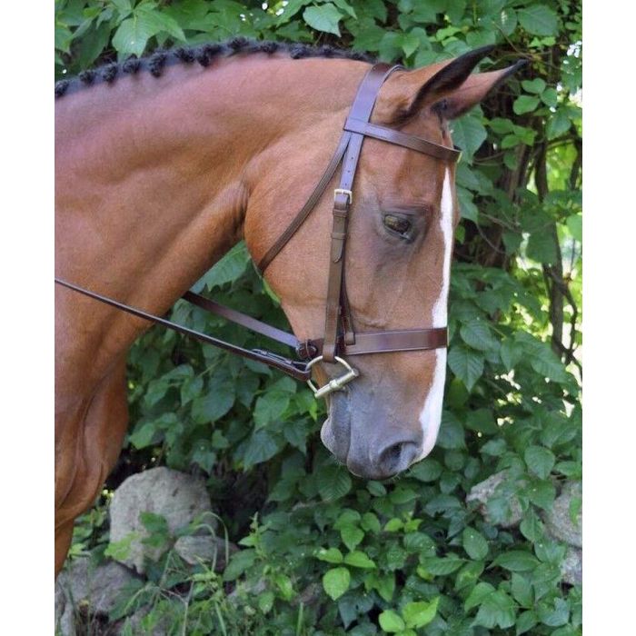 Foxtrot Flat Hunt Bridle with 3/4" Flat Laced Pin Reins