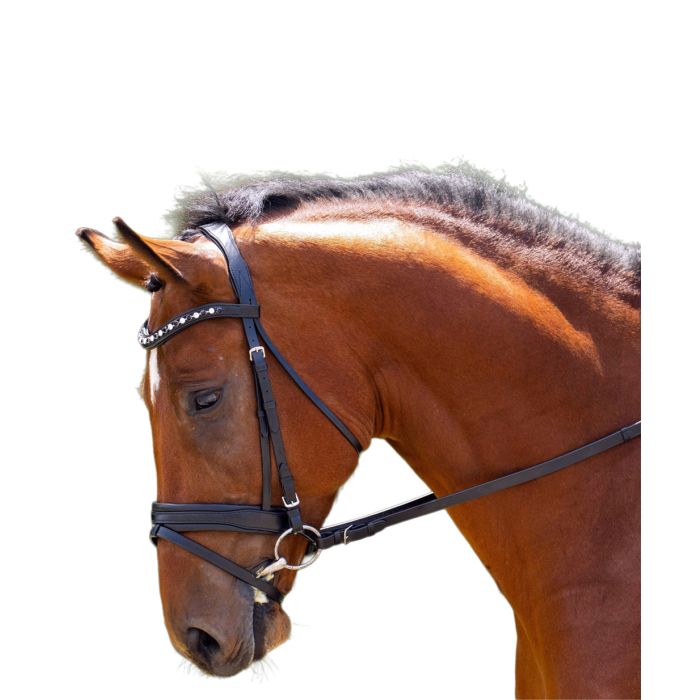 Black Oak Daphne Dressage Bridle With Reins