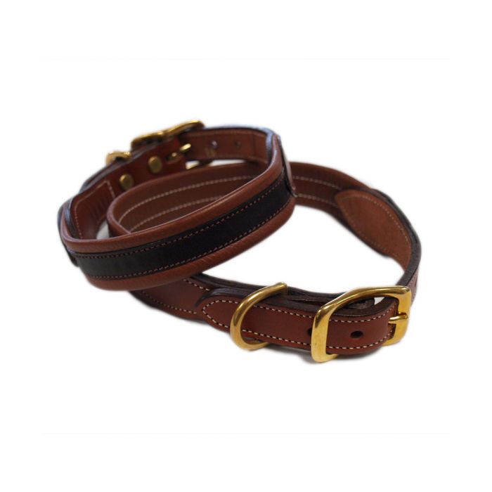 Tory Padded Dog Collar, 1"