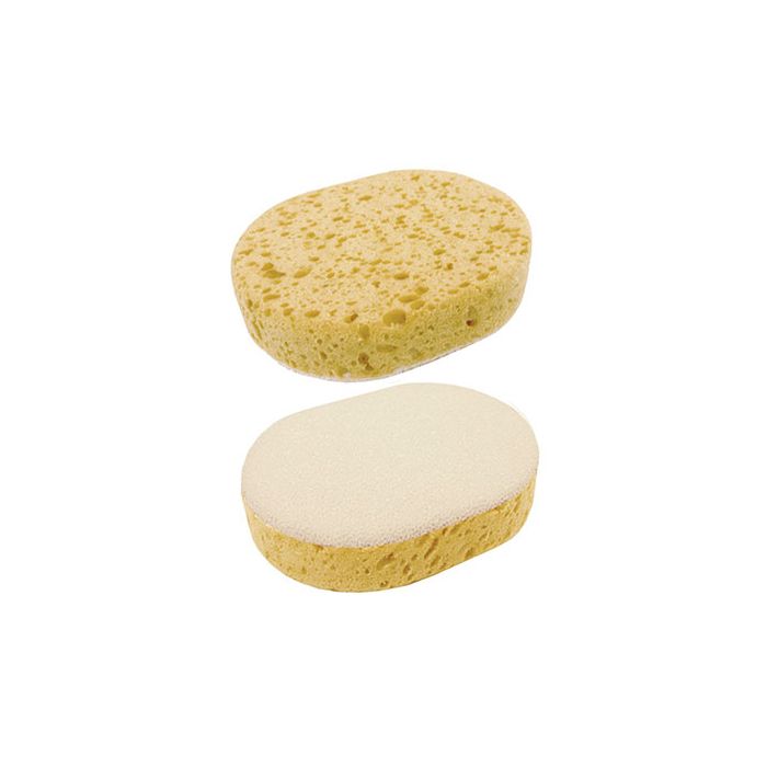 Medium Scrub Sponge