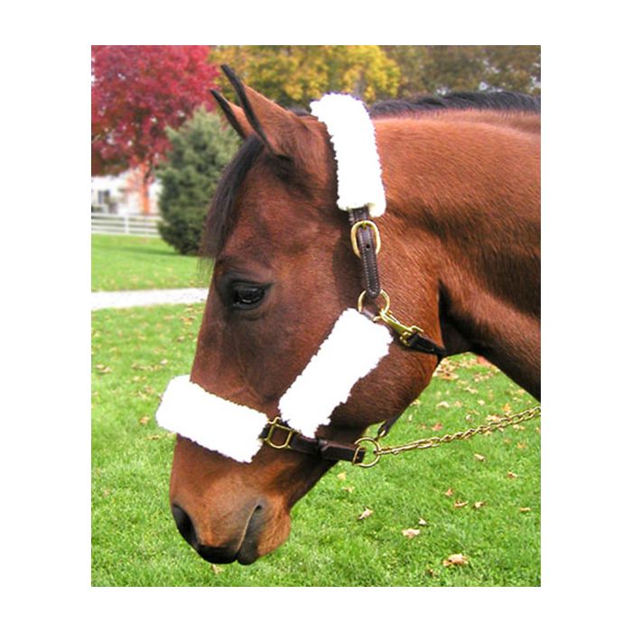 Fleece Halter 4-pc. Tube Set