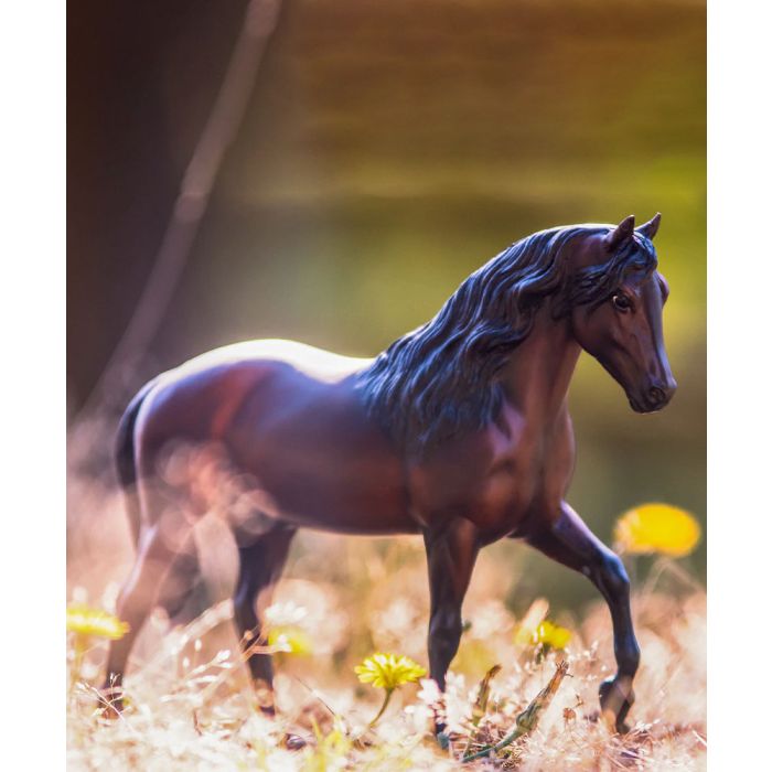 Breyer Vivaldi De Besilu