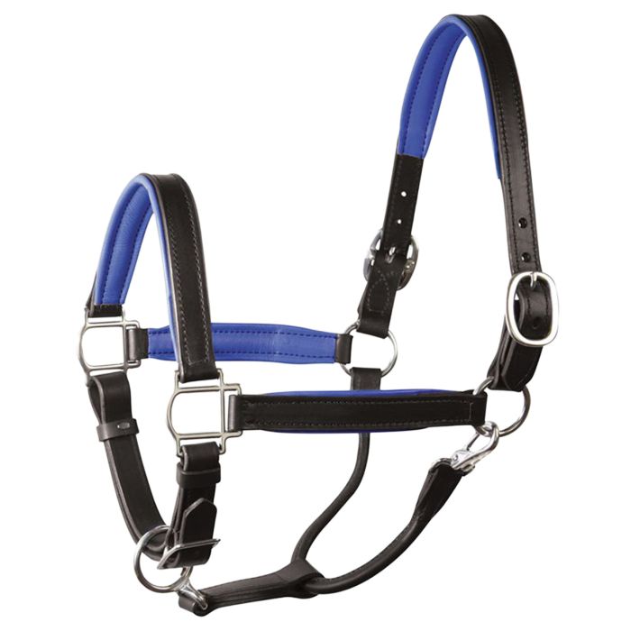 Perri's Soft Padded Leather Halter