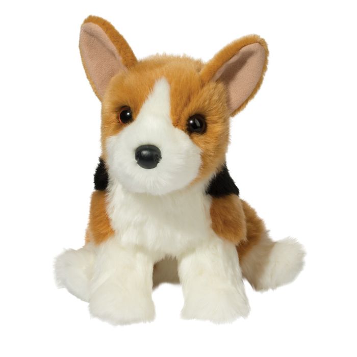 Arnie the Corgi