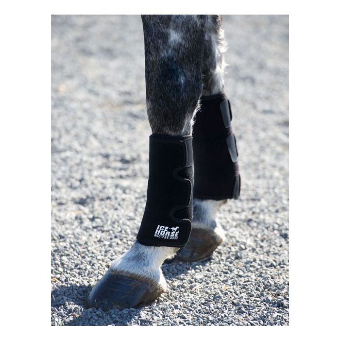 Ice Horse Tendon Wraps Pair