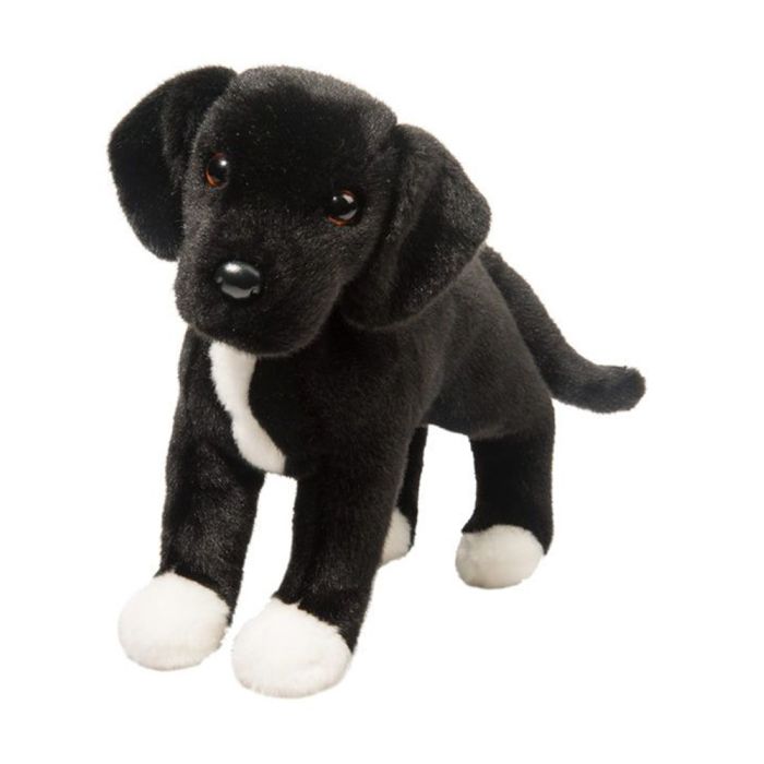 Douglas Toy Twister Black Lab/Pit Bull Mix