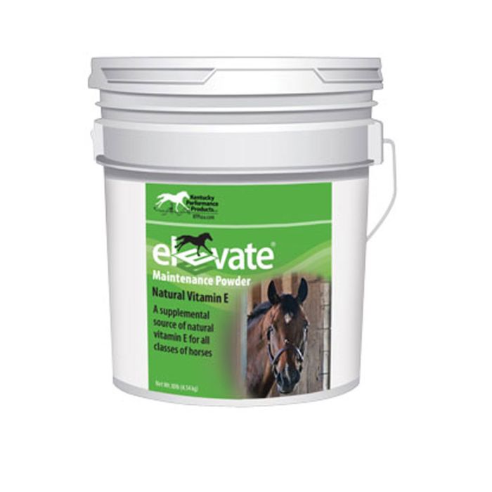 Elevate Maintenance Powder 10lb