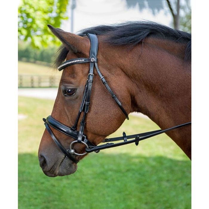 HDR Diamonte Dressage Bridle