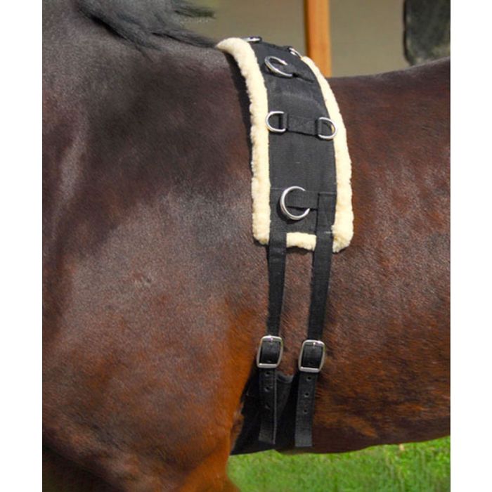Fleece Lined Nylon Horse Training Surcingle