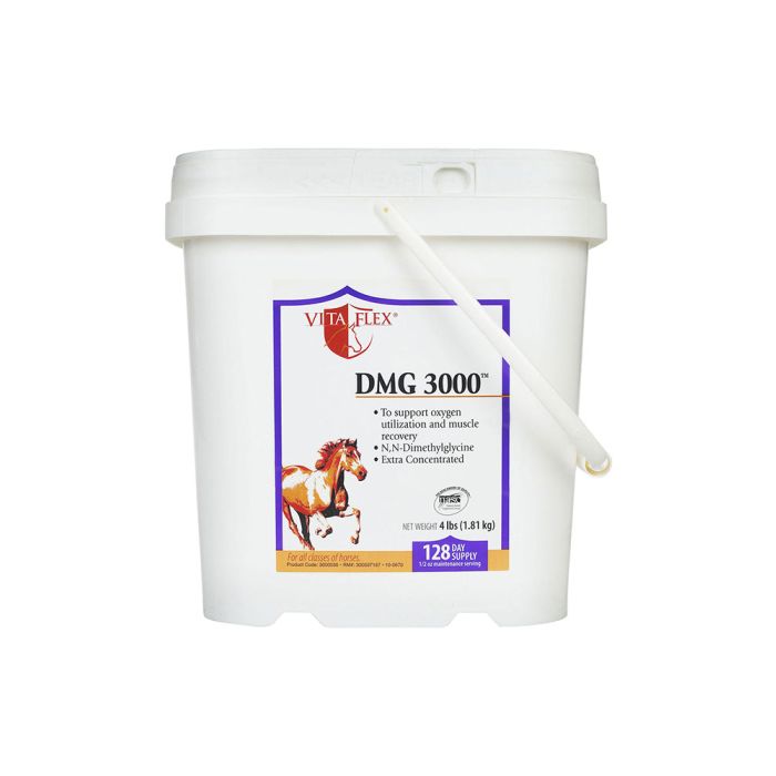 Vita Flex DMG 3000 Concentrate 4 LB