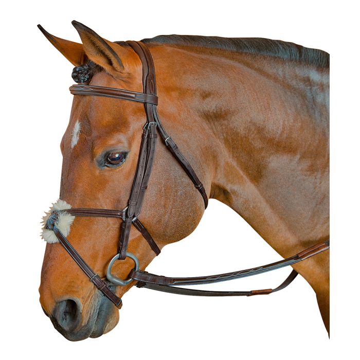 M. Toulouse Fancy Raised Padded Figure 8 Bridle