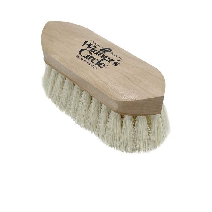 Winner's Circle Small Dandy Brush (#304)