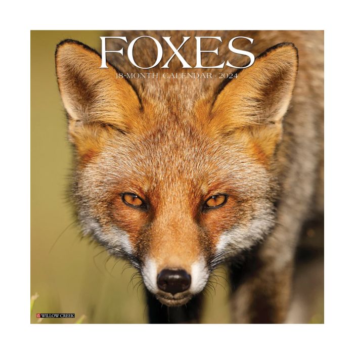 Willow Creek 2024 Wall Calendars ( 12" X 12")