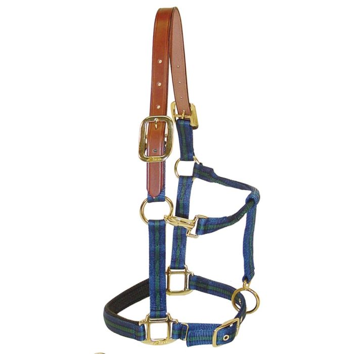 Nylon Breakaway Halter w/ Padded Nose