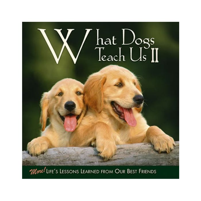 Book: What Dogs Teach Us II