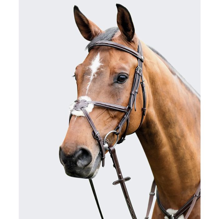 Prestige Fancy Padded Figure 8 Bridle (Reins Sold Seperately)