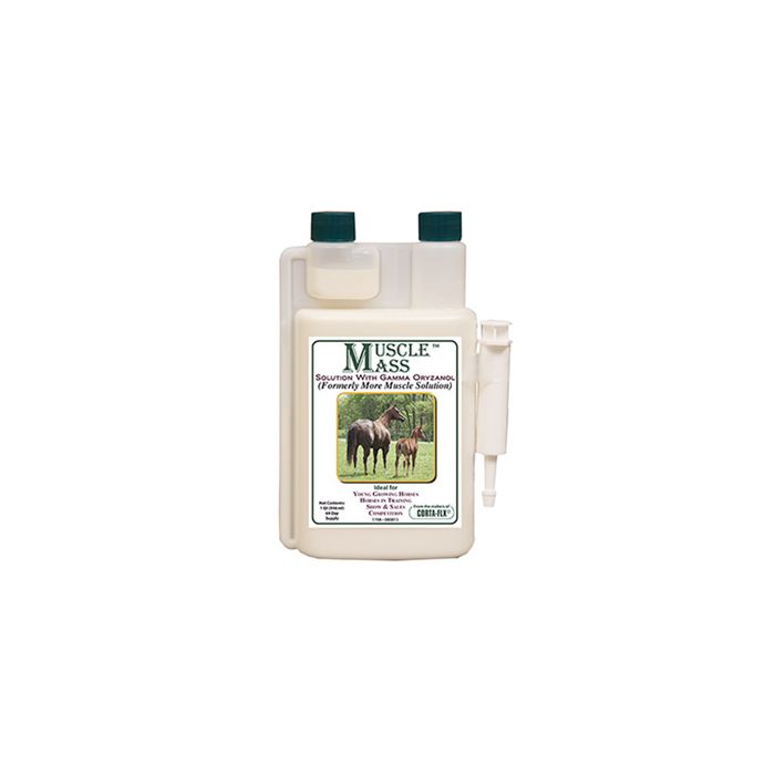 Muscle Mass Solution 1 QT