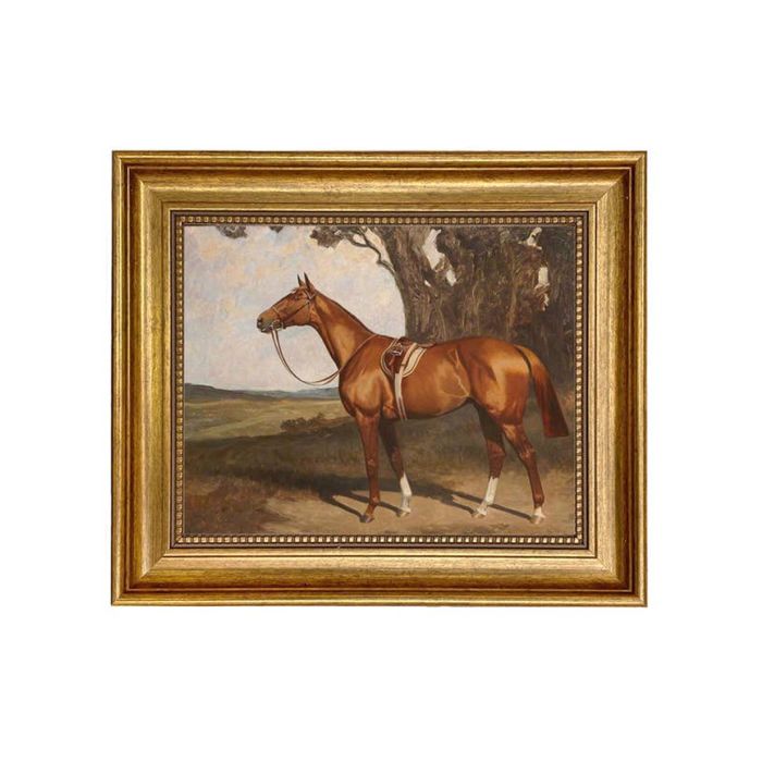 Madison Bay Co. Saddle Chestnut Racehorse Framed Painting Print on Canvas - 8X10
