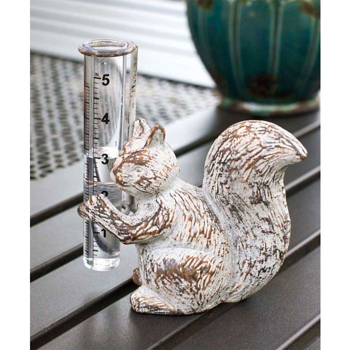 Squirrel Rain Guage