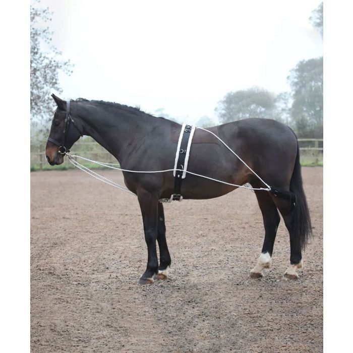 Shires Lunging Aid System