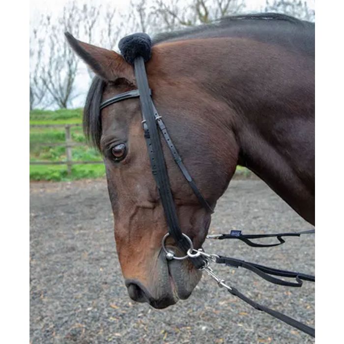 Shires Lunging  Adapter