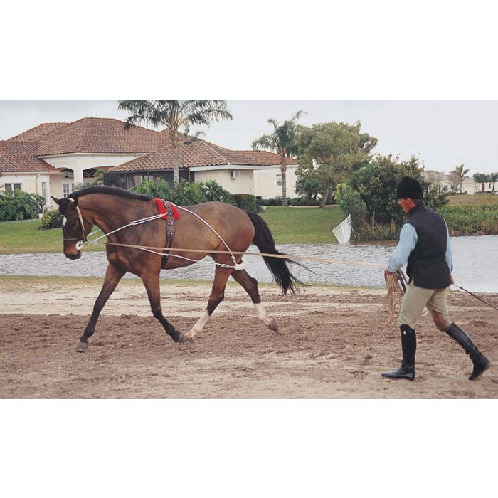 Pessoa Lunging System