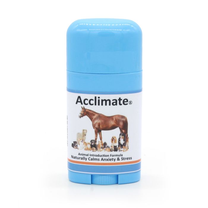 Acclimate Livestock Introduction Formula Quick Stick 20 gm
