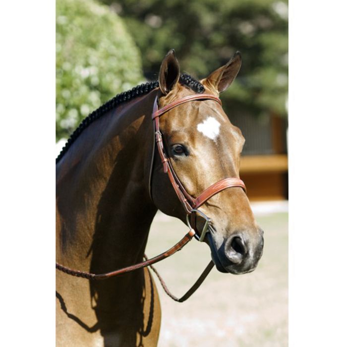 Pessoa Rodrigo Fancy Raised Wide Bridle