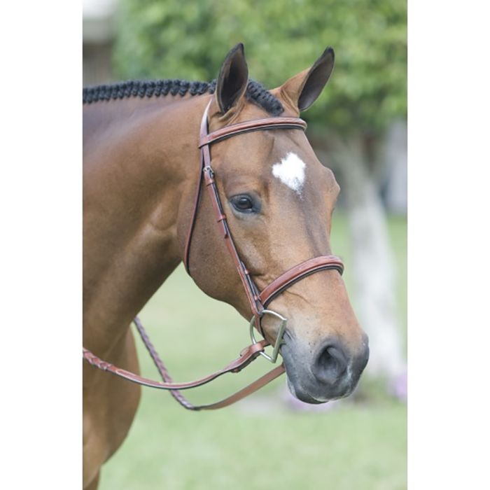 Rodrigo Pessoa® Fancy Stitched Padded Wide Noseband Show Bridle