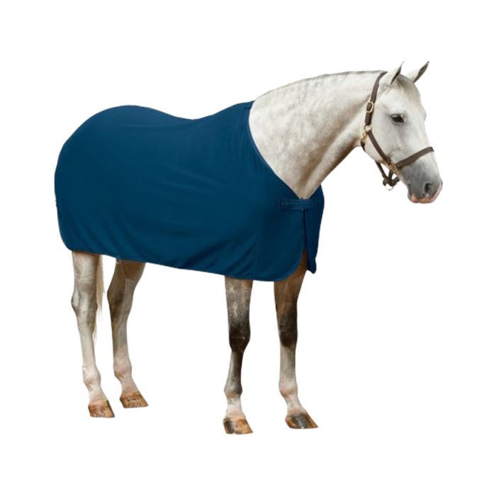 Centaur® Turbo-Dry Dress Cooler