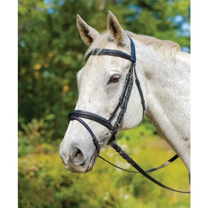 Shires Avignon Louisville Raised Passed Bridle With Reins