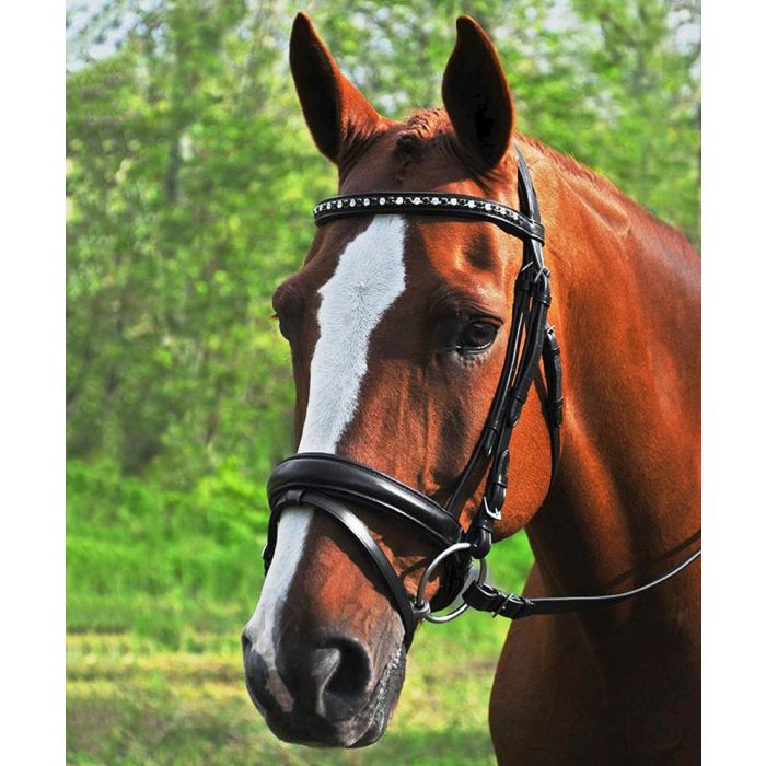 Cadence Dressage Bridle with Tapered Flash Crank Noseband & Crystal Browband