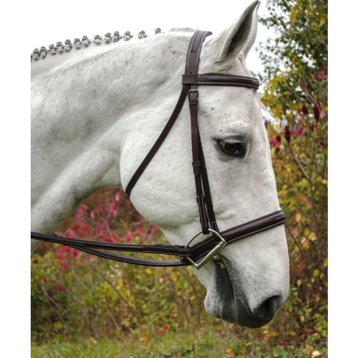 Red Barn Spirit Padded Bridle w/ Threaded Headstall