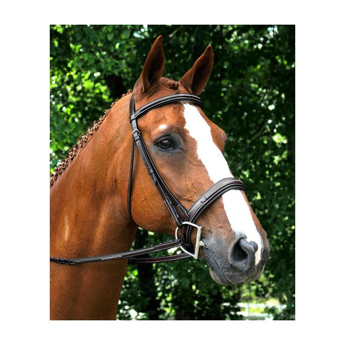 Red Barn Tryon Square Raised Padded Hunter Bridle