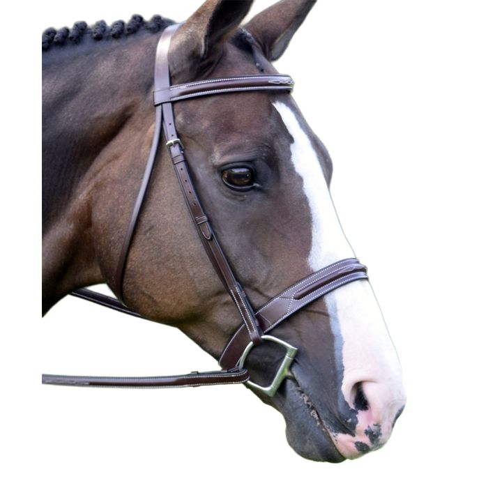 Red Barn Sonoma Bridle